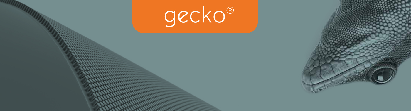 GECKO