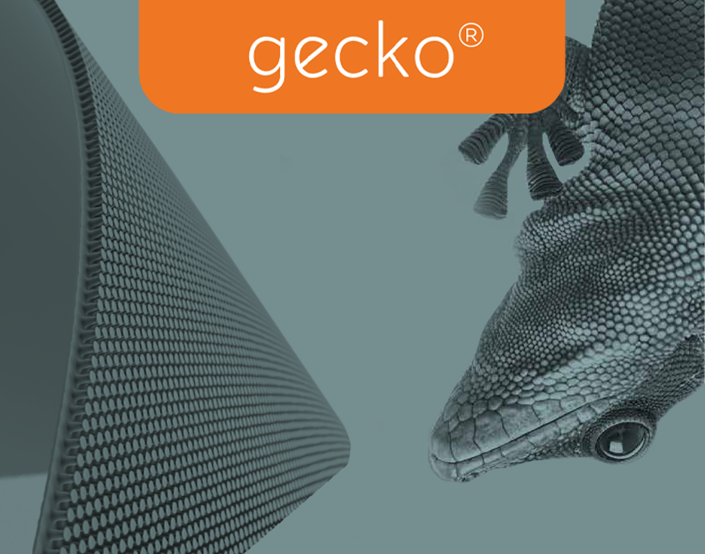 Gecko Nanoplast